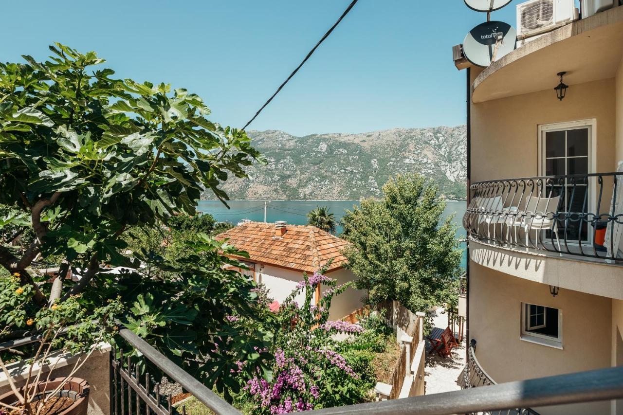 Apartments Cosovic Kotor Exterior photo